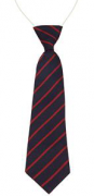 CTK Elastic Tie